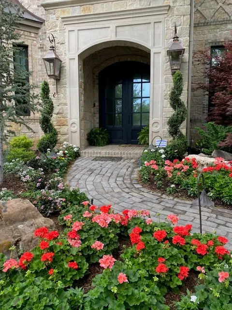 Red geraniums and topiaries along a curved paver walk to an arched front door