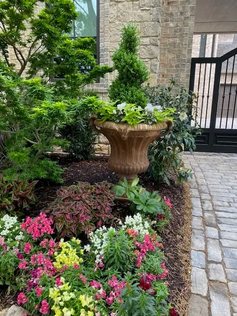 Layered bed with an urn, evergreens and pink blooms beside a cobblestone drive and iron gate