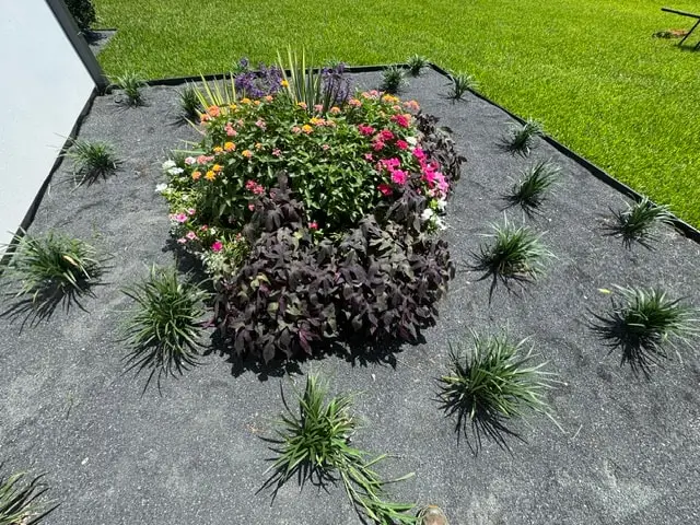 Island of colorful blooms surrounded by grasses in a dark gravel bed with steel edging