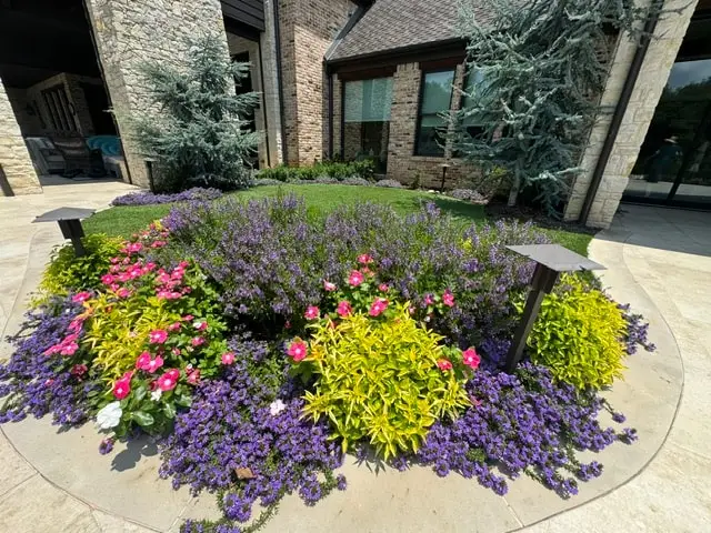 Circular patio bed of purple, pink and chartreuse plantings with path lights
