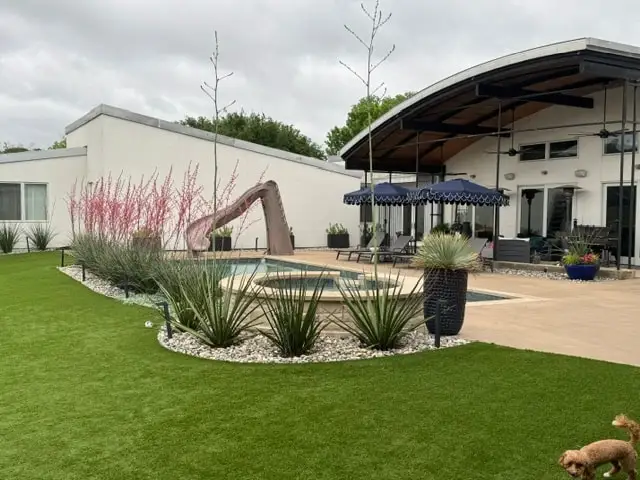 Ornamental grasses, red yucca and white river rock beside a modern pool deck